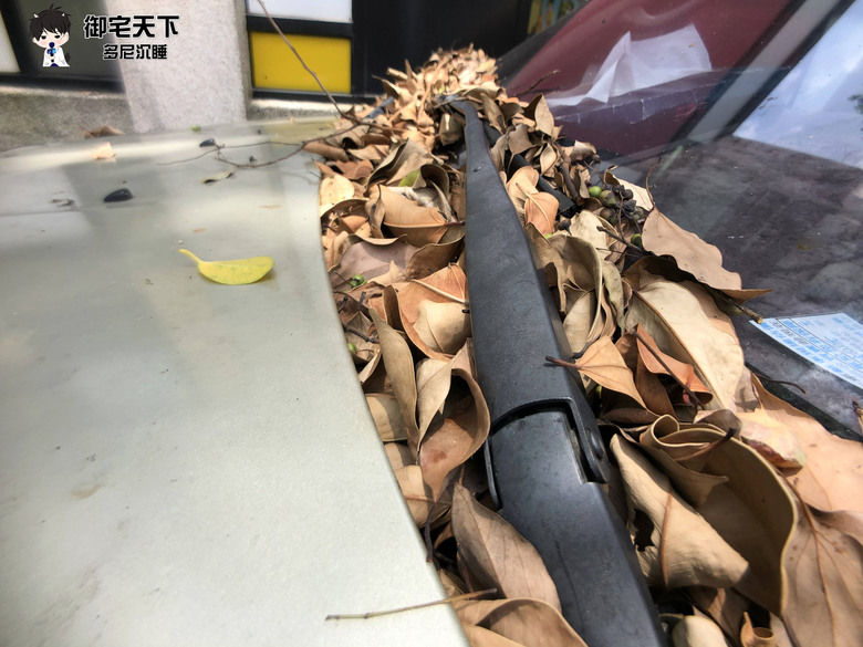 開箱文｜【ShiftCam】萬用HD廣角鏡頭組－手機攝影師不可錯過的一款HD廣角鏡頭