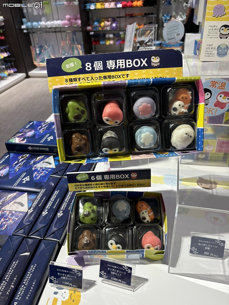東京之旅｜東京晴空塔下的神祕的海洋奇妙冒險：墨田水族館一遊