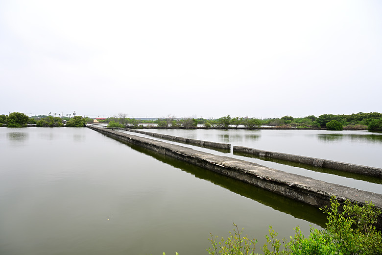 Z9+663梅雨季拍燕子，介紹落日灣、右岸濕地、鵬村濕地和鳥仔咖。加映Z6III拍燕子及崁頂生態公園。