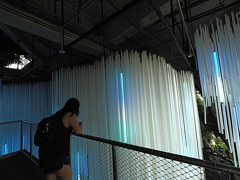 濱海灣花園 雲霧林(Cloud Forest)、花穹(Flower Dome) 及《莫內印象(Impressions of Monet)》特展、擎天樹叢(Supertree Grove)的《花園狂想曲(Garden Rhapsody)》聲光秀、遊園導覽車(Audio Tour)、Jurassic Nest FoodHall中的Hawker Chan燒肉飯,及金沙酒店《幻彩生輝(Spectra- A Light and Water)》燈光秀 — 赤道三國文化休閒行旅 之 新加坡篇 第五回 濱海灣花園