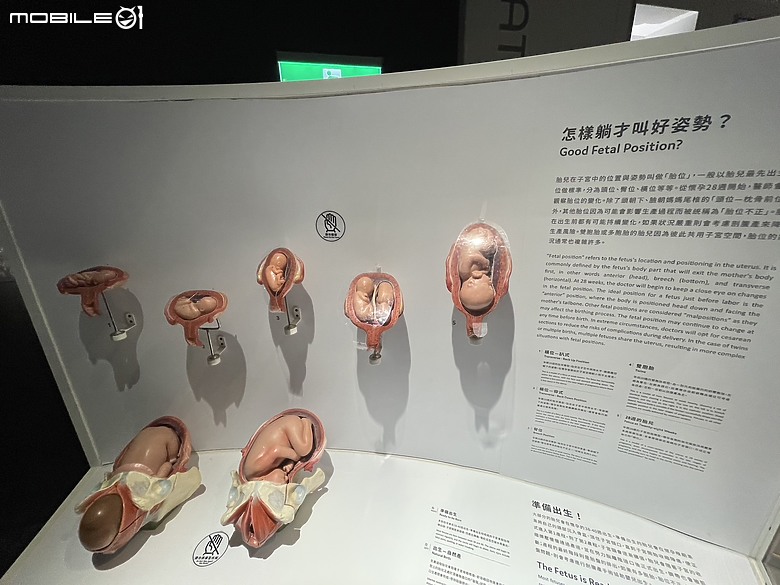科教館之旅：探索、學習與心靈的觸動