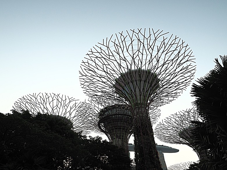 濱海灣花園 雲霧林(Cloud Forest)、花穹(Flower Dome) 及《莫內印象(Impressions of Monet)》特展、擎天樹叢(Supertree Grove)的《花園狂想曲(Garden Rhapsody)》聲光秀、遊園導覽車(Audio Tour)、Jurassic Nest FoodHall中的Hawker Chan燒肉飯,及金沙酒店《幻彩生輝(Spectra- A Light and Water)》燈光秀 — 赤道三國文化休閒行旅 之 新加坡篇 第五回 濱海灣花園