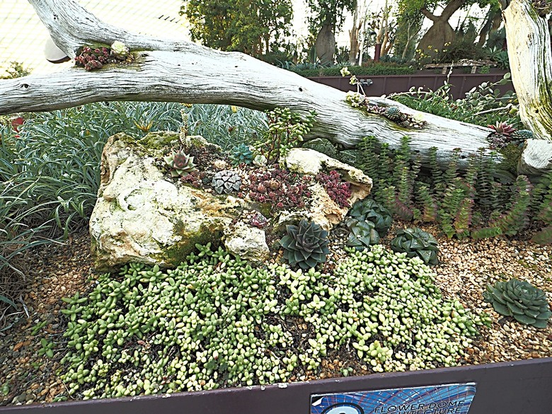 濱海灣花園 雲霧林(Cloud Forest)、花穹(Flower Dome) 及《莫內印象(Impressions of Monet)》特展、擎天樹叢(Supertree Grove)的《花園狂想曲(Garden Rhapsody)》聲光秀、遊園導覽車(Audio Tour)、Jurassic Nest FoodHall中的Hawker Chan燒肉飯,及金沙酒店《幻彩生輝(Spectra- A Light and Water)》燈光秀 — 赤道三國文化休閒行旅 之 新加坡篇 第五回 濱海灣花園
