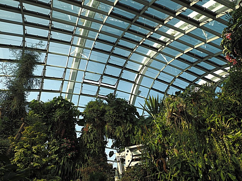 濱海灣花園 雲霧林(Cloud Forest)、花穹(Flower Dome) 及《莫內印象(Impressions of Monet)》特展、擎天樹叢(Supertree Grove)的《花園狂想曲(Garden Rhapsody)》聲光秀、遊園導覽車(Audio Tour)、Jurassic Nest FoodHall中的Hawker Chan燒肉飯,及金沙酒店《幻彩生輝(Spectra- A Light and Water)》燈光秀 — 赤道三國文化休閒行旅 之 新加坡篇 第五回 濱海灣花園