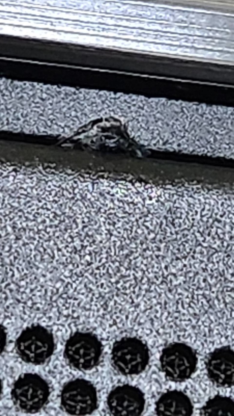 bose soundbar 900 外觀有奇怪東西