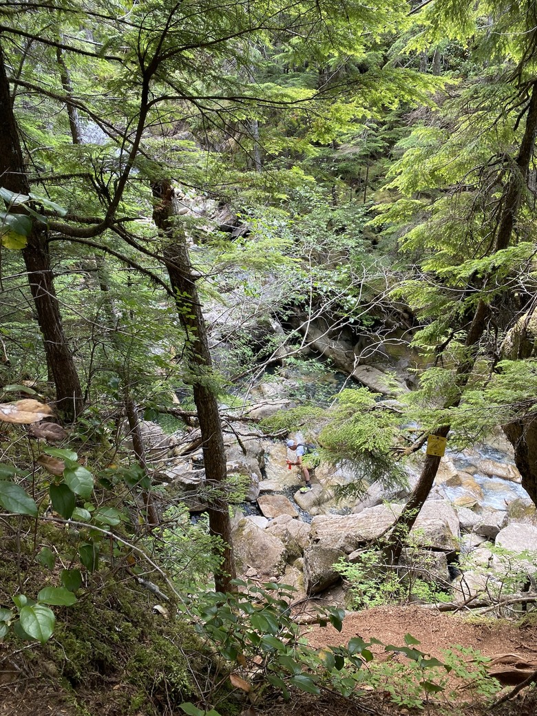 「瑜伽越野跑」加拿大🇨🇦 溫哥華 Vancouver, BC 北邊的兩條路線：Sea to Summit 及 Garibaldi Lake trail