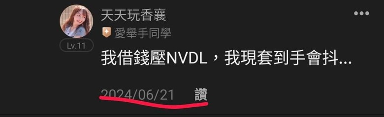 這是關於貸款200萬買輝達兩倍槓桿NVDL的故事