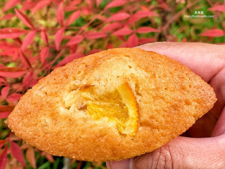 點我看大圖 全台獨家橘子蛋糕,真的吃的到果肉的橘子蛋糕