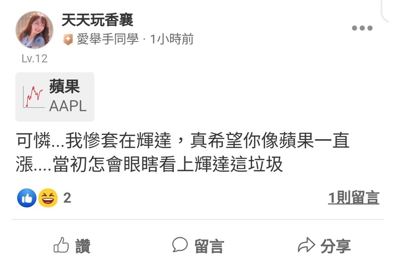 這是關於貸款200萬買輝達兩倍槓桿NVDL的故事