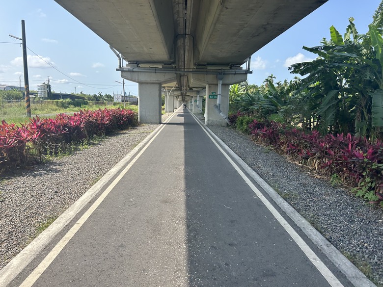 【小惡魔畫蛇添福】騎單車走讀竹田之旅