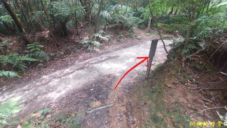 [2024 台北大縱走第四段] 風櫃口 → 大湖公園捷運站｜梅花山、圓覺瀑布、大溝溪畔