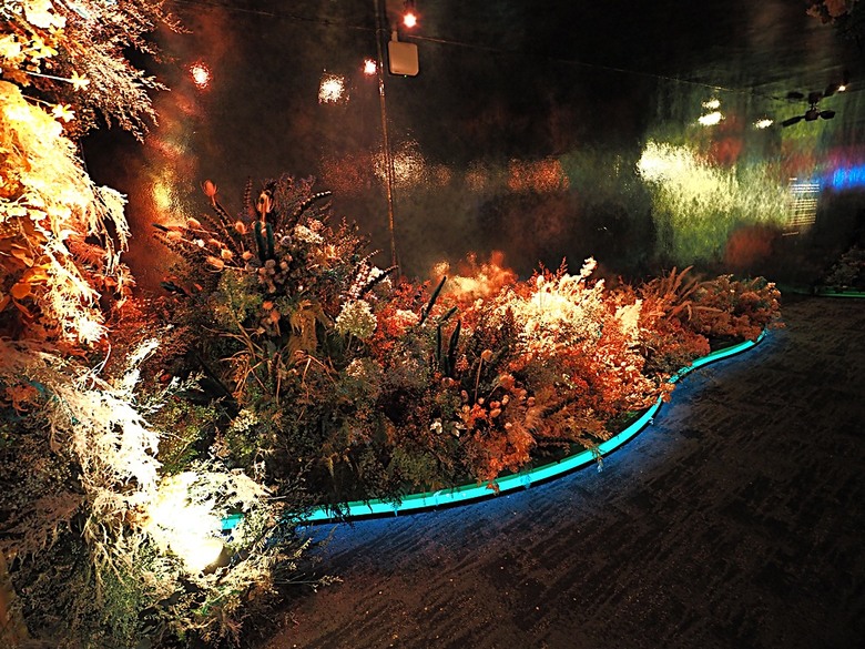 濱海灣花園 雲霧林(Cloud Forest)、花穹(Flower Dome) 及《莫內印象(Impressions of Monet)》特展、擎天樹叢(Supertree Grove)的《花園狂想曲(Garden Rhapsody)》聲光秀、遊園導覽車(Audio Tour)、Jurassic Nest FoodHall中的Hawker Chan燒肉飯,及金沙酒店《幻彩生輝(Spectra- A Light and Water)》燈光秀 — 赤道三國文化休閒行旅 之 新加坡篇 第五回 濱海灣花園
