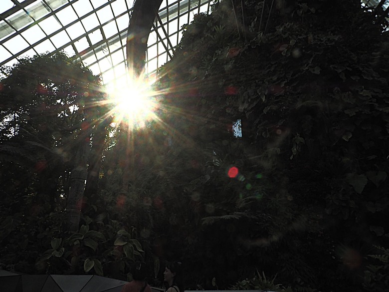 濱海灣花園 雲霧林(Cloud Forest)、花穹(Flower Dome) 及《莫內印象(Impressions of Monet)》特展、擎天樹叢(Supertree Grove)的《花園狂想曲(Garden Rhapsody)》聲光秀、遊園導覽車(Audio Tour)、Jurassic Nest FoodHall中的Hawker Chan燒肉飯,及金沙酒店《幻彩生輝(Spectra- A Light and Water)》燈光秀 — 赤道三國文化休閒行旅 之 新加坡篇 第五回 濱海灣花園