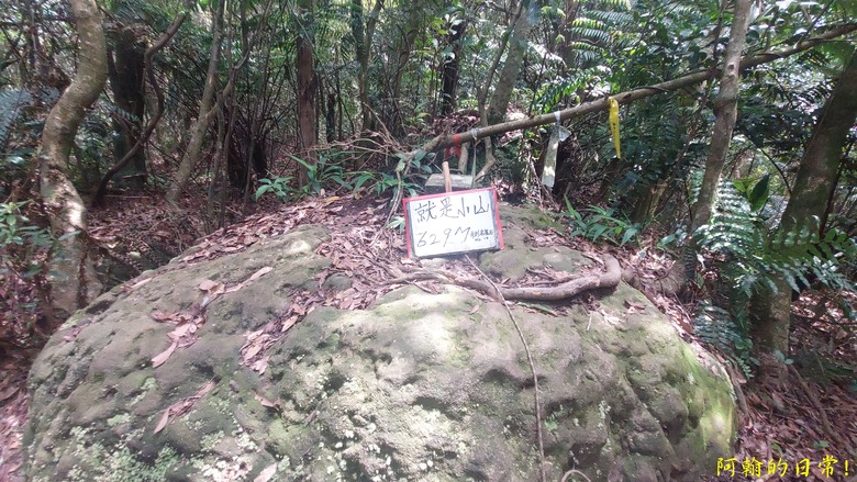 [2024 台北大縱走第四段] 風櫃口 → 大湖公園捷運站｜梅花山、圓覺瀑布、大溝溪畔