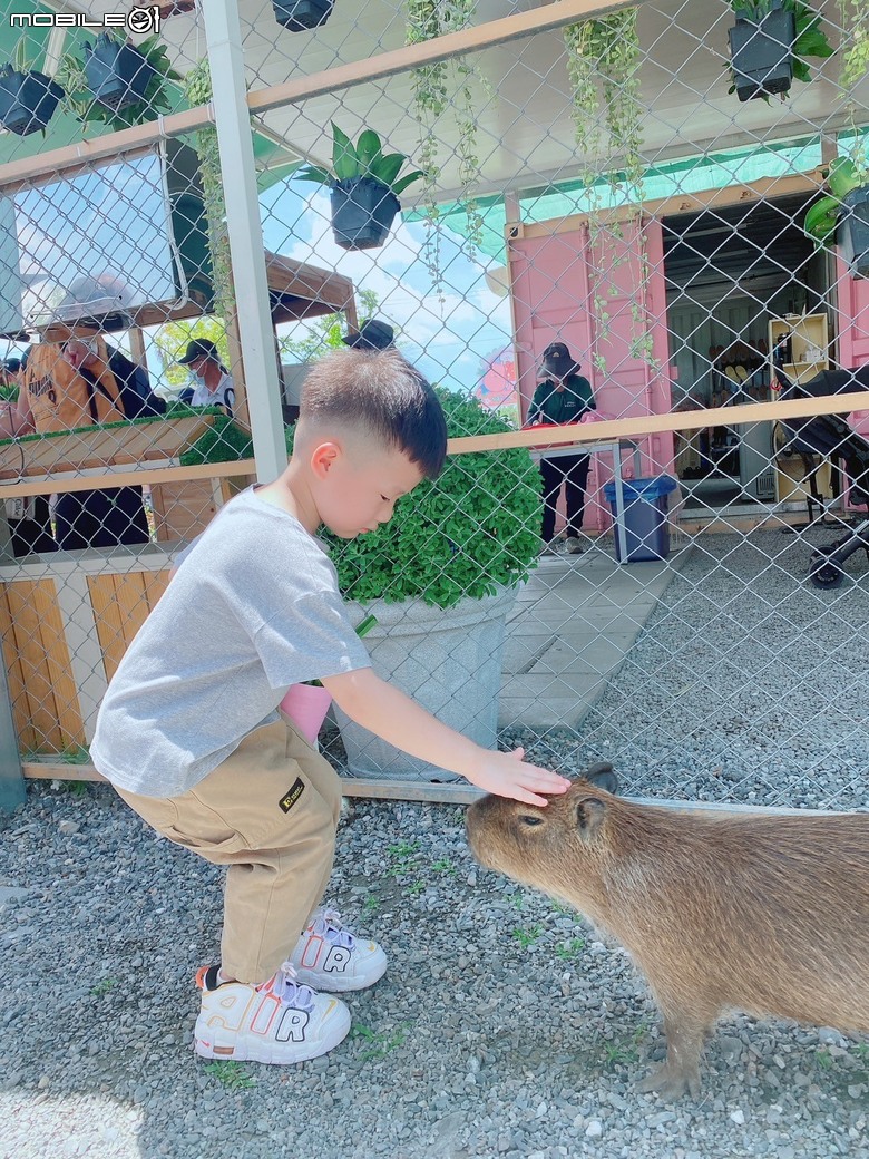 宜蘭在地動物友善親子樂園-星夢森林劇場