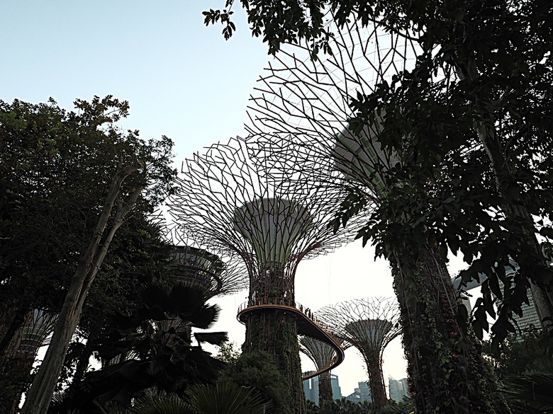 濱海灣花園 雲霧林(Cloud Forest)、花穹(Flower Dome) 及《莫內印象(Impressions of Monet)》特展、擎天樹叢(Supertree Grove)的《花園狂想曲(Garden Rhapsody)》聲光秀、遊園導覽車(Audio Tour)、Jurassic Nest FoodHall中的Hawker Chan燒肉飯,及金沙酒店《幻彩生輝(Spectra- A Light and Water)》燈光秀 — 赤道三國文化休閒行旅 之 新加坡篇 第五回 濱海灣花園