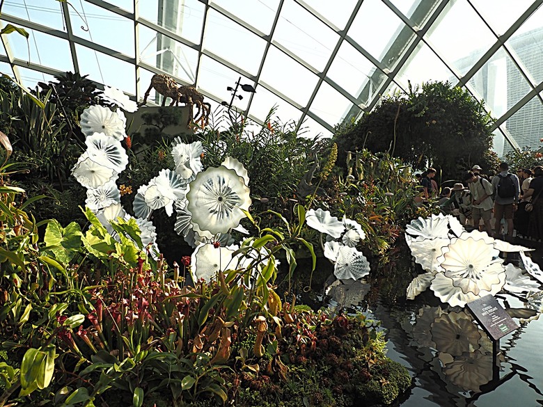 濱海灣花園 雲霧林(Cloud Forest)、花穹(Flower Dome) 及《莫內印象(Impressions of Monet)》特展、擎天樹叢(Supertree Grove)的《花園狂想曲(Garden Rhapsody)》聲光秀、遊園導覽車(Audio Tour)、Jurassic Nest FoodHall中的Hawker Chan燒肉飯,及金沙酒店《幻彩生輝(Spectra- A Light and Water)》燈光秀 — 赤道三國文化休閒行旅 之 新加坡篇 第五回 濱海灣花園