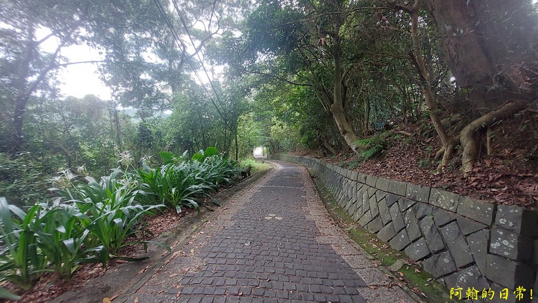 [2024 台北大縱走第四段] 風櫃口 → 大湖公園捷運站｜梅花山、圓覺瀑布、大溝溪畔