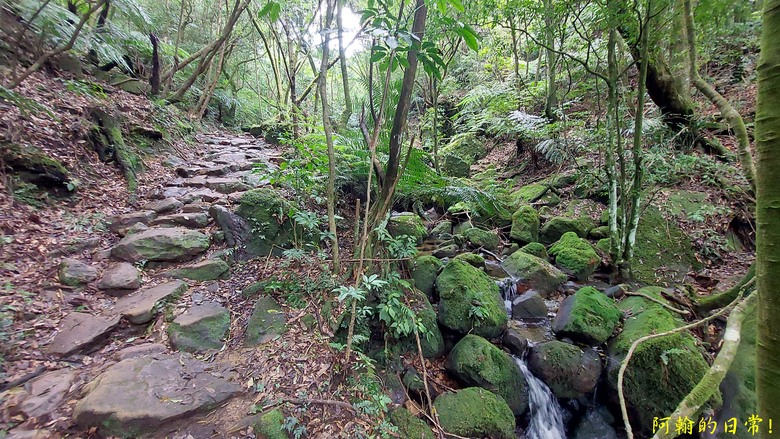 [2024 台北大縱走第四段] 風櫃口 → 大湖公園捷運站｜梅花山、圓覺瀑布、大溝溪畔