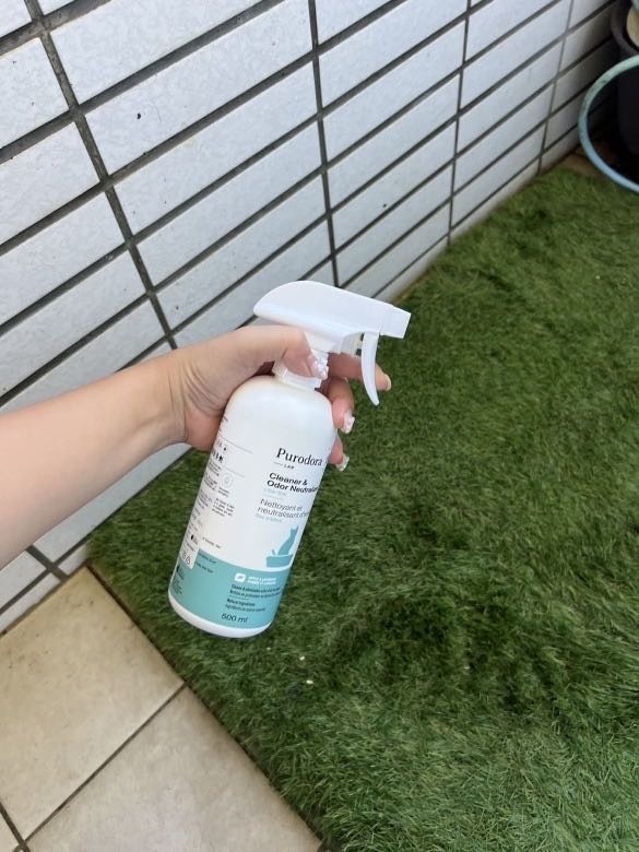 #分享 貓咪便盆臭味終結者！😹 開箱貓咪除臭劑，純朵拉寵物除臭救星～