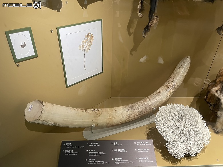 科教館之旅：探索、學習與心靈的觸動