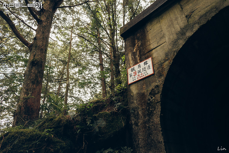 出遊分享 Canon EOS R8 ( 阿里山遊記)