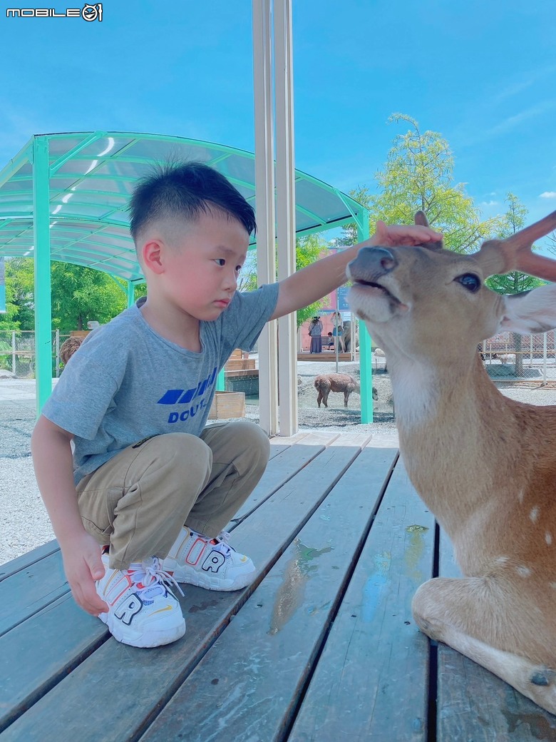 宜蘭在地動物友善親子樂園-星夢森林劇場