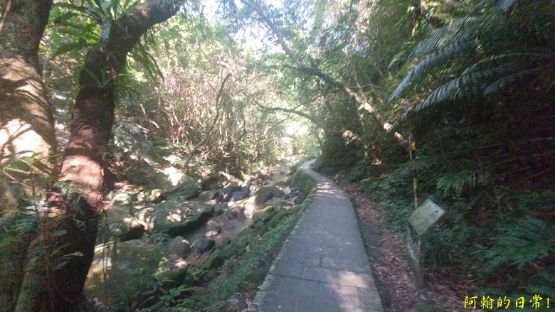 [2024 台北大縱走第四段] 風櫃口 → 大湖公園捷運站｜梅花山、圓覺瀑布、大溝溪畔