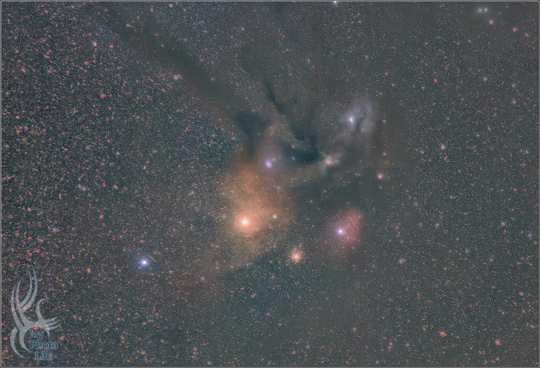 0803坪林攝星記