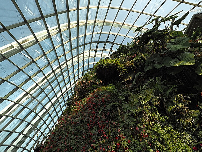 濱海灣花園 雲霧林(Cloud Forest)、花穹(Flower Dome) 及《莫內印象(Impressions of Monet)》特展、擎天樹叢(Supertree Grove)的《花園狂想曲(Garden Rhapsody)》聲光秀、遊園導覽車(Audio Tour)、Jurassic Nest FoodHall中的Hawker Chan燒肉飯,及金沙酒店《幻彩生輝(Spectra- A Light and Water)》燈光秀 — 赤道三國文化休閒行旅 之 新加坡篇 第五回 濱海灣花園