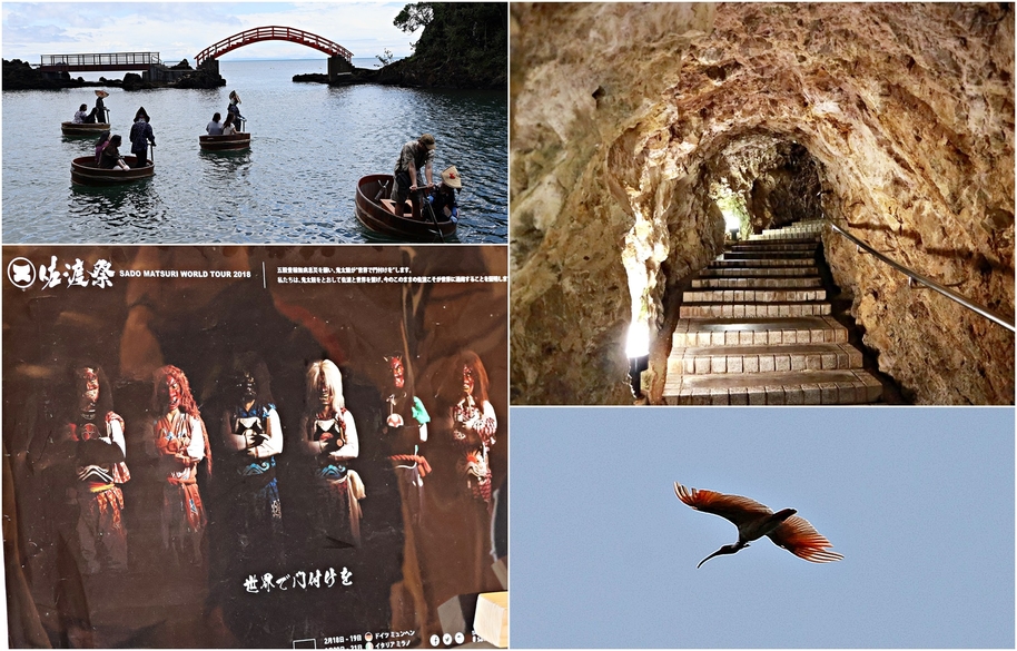 【新潟縣】佐渡必做的十件事！在2024年最新成為日本第26個世界遺產的佐渡島上這樣玩最道地有趣！