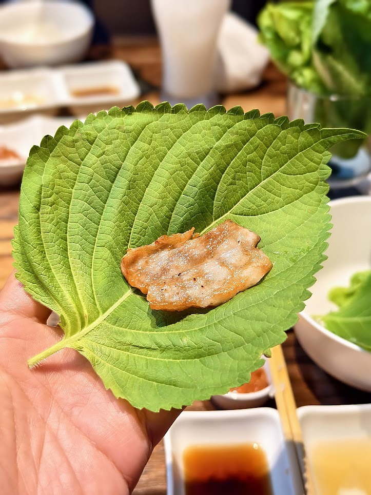 【京都武士與忍者博物館】+ 【黑樓燒肉】+【觀光特急「AONIYOSHI」列車】