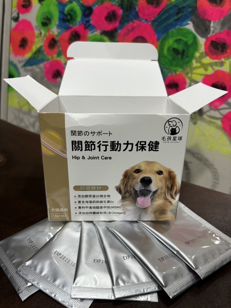 貓咪一年健檢一次真的很重要！