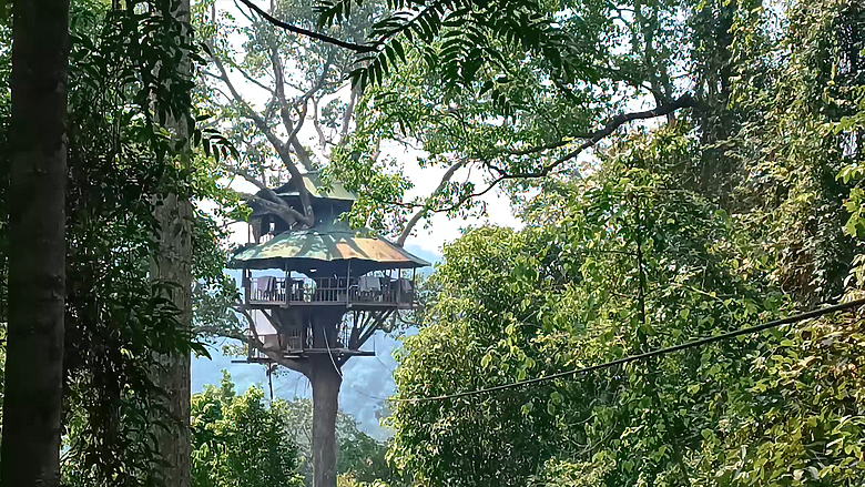 探索世界最高的樹屋：Gibbon Experience | 與長臂猿不那麼親密的接觸(?)