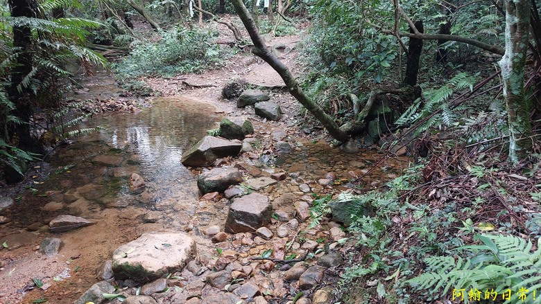 [2024 台北大縱走第四段] 風櫃口 → 大湖公園捷運站｜梅花山、圓覺瀑布、大溝溪畔