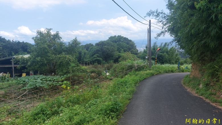 [2024 台北大縱走第四段] 風櫃口 → 大湖公園捷運站｜梅花山、圓覺瀑布、大溝溪畔