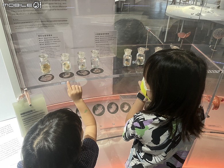 科教館之旅：探索、學習與心靈的觸動