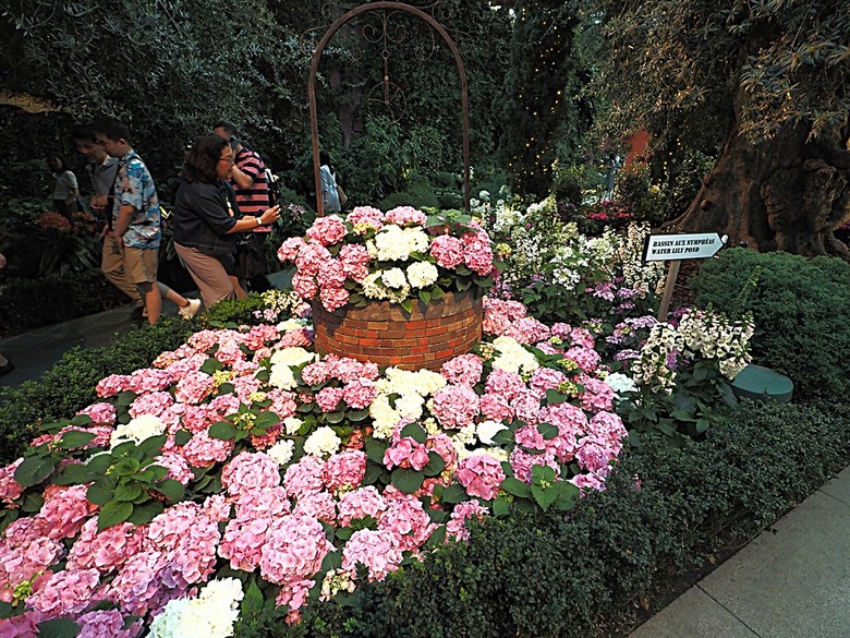 濱海灣花園 雲霧林(Cloud Forest)、花穹(Flower Dome) 及《莫內印象(Impressions of Monet)》特展、擎天樹叢(Supertree Grove)的《花園狂想曲(Garden Rhapsody)》聲光秀、遊園導覽車(Audio Tour)、Jurassic Nest FoodHall中的Hawker Chan燒肉飯,及金沙酒店《幻彩生輝(Spectra- A Light and Water)》燈光秀 — 赤道三國文化休閒行旅 之 新加坡篇 第五回 濱海灣花園