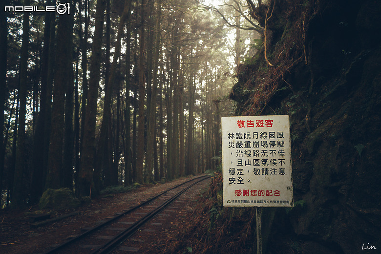 出遊分享 Canon EOS R8 ( 阿里山遊記)