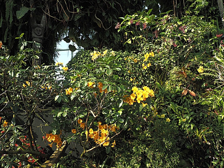 濱海灣花園 雲霧林(Cloud Forest)、花穹(Flower Dome) 及《莫內印象(Impressions of Monet)》特展、擎天樹叢(Supertree Grove)的《花園狂想曲(Garden Rhapsody)》聲光秀、遊園導覽車(Audio Tour)、Jurassic Nest FoodHall中的Hawker Chan燒肉飯,及金沙酒店《幻彩生輝(Spectra- A Light and Water)》燈光秀 — 赤道三國文化休閒行旅 之 新加坡篇 第五回 濱海灣花園