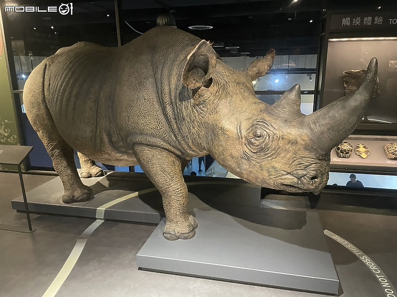 科教館之旅：探索、學習與心靈的觸動