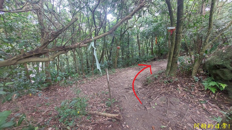 [2024 台北大縱走第四段] 風櫃口 → 大湖公園捷運站｜梅花山、圓覺瀑布、大溝溪畔