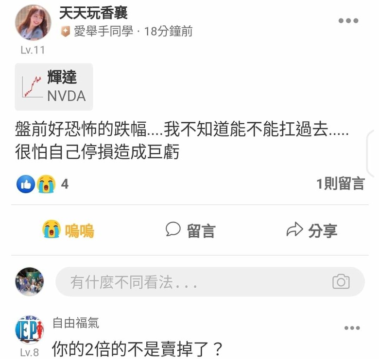 這是關於貸款200萬買輝達兩倍槓桿NVDL的故事