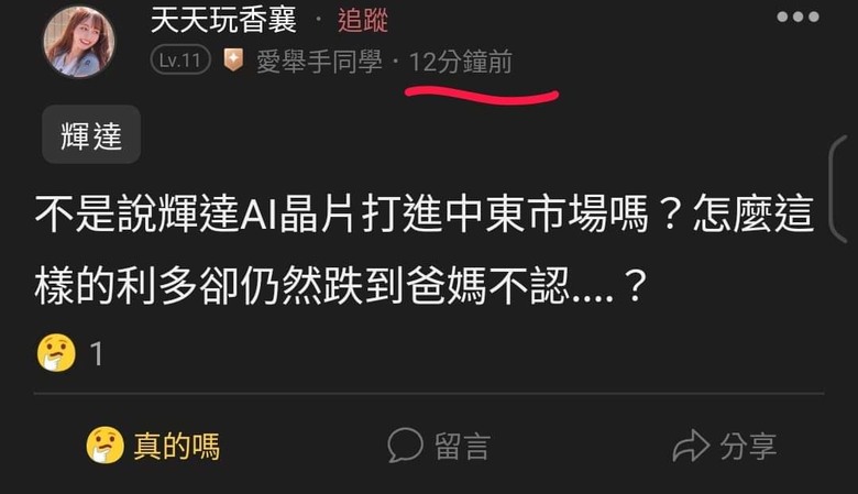 這是關於貸款200萬買輝達兩倍槓桿NVDL的故事