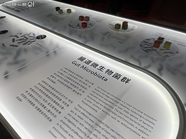 科教館之旅：探索、學習與心靈的觸動