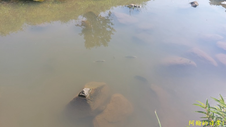 [2024 台北大縱走第四段] 風櫃口 → 大湖公園捷運站｜梅花山、圓覺瀑布、大溝溪畔