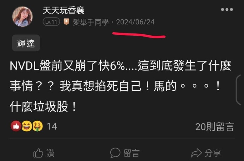 這是關於貸款200萬買輝達兩倍槓桿NVDL的故事