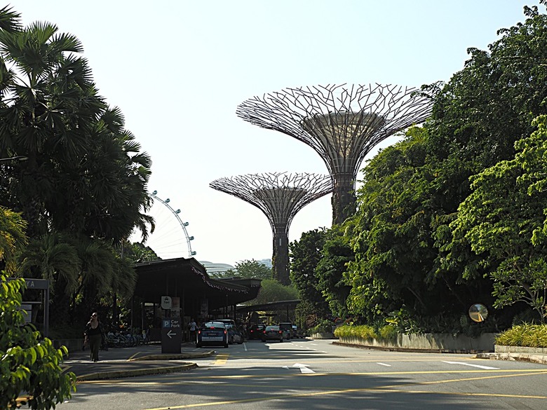 濱海灣花園 雲霧林(Cloud Forest)、花穹(Flower Dome) 及《莫內印象(Impressions of Monet)》特展、擎天樹叢(Supertree Grove)的《花園狂想曲(Garden Rhapsody)》聲光秀、遊園導覽車(Audio Tour)、Jurassic Nest FoodHall中的Hawker Chan燒肉飯,及金沙酒店《幻彩生輝(Spectra- A Light and Water)》燈光秀 — 赤道三國文化休閒行旅 之 新加坡篇 第五回 濱海灣花園