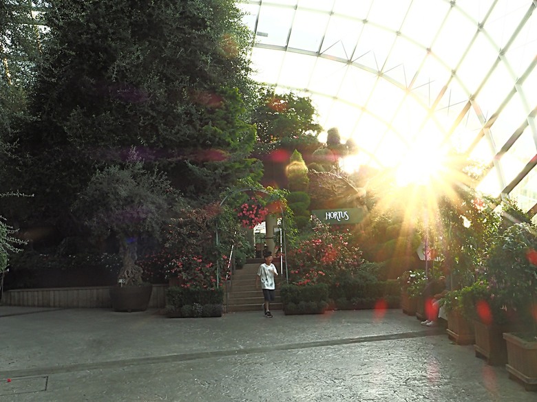 濱海灣花園 雲霧林(Cloud Forest)、花穹(Flower Dome) 及《莫內印象(Impressions of Monet)》特展、擎天樹叢(Supertree Grove)的《花園狂想曲(Garden Rhapsody)》聲光秀、遊園導覽車(Audio Tour)、Jurassic Nest FoodHall中的Hawker Chan燒肉飯,及金沙酒店《幻彩生輝(Spectra- A Light and Water)》燈光秀 — 赤道三國文化休閒行旅 之 新加坡篇 第五回 濱海灣花園