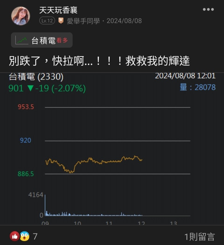 這是關於貸款200萬買輝達兩倍槓桿NVDL的故事